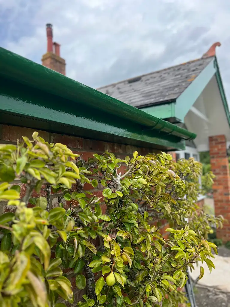 Exterior house painting with green fascia and soffits, neat residential finish