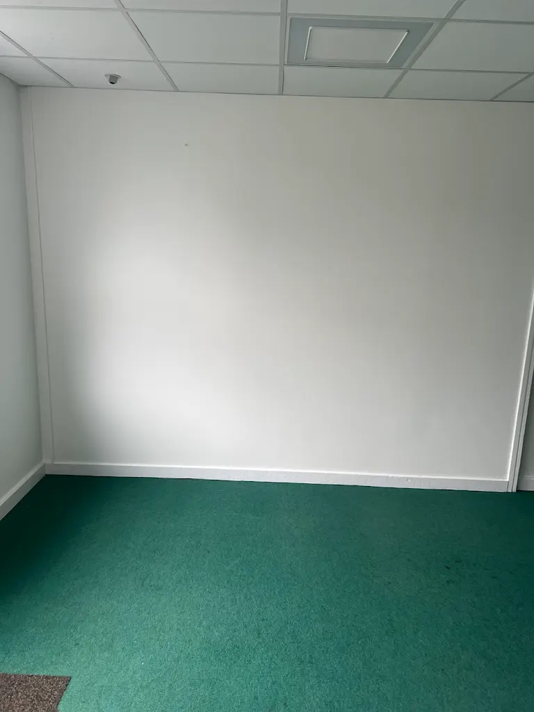 Clean interior wall painting with green carpet flooring and white skirting