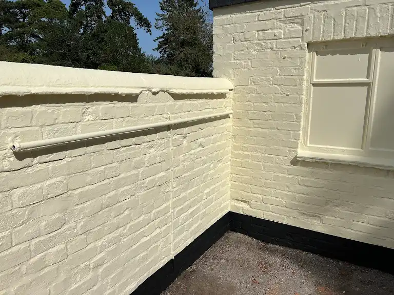 Exterior wall painting with neat cream finish and black base trim